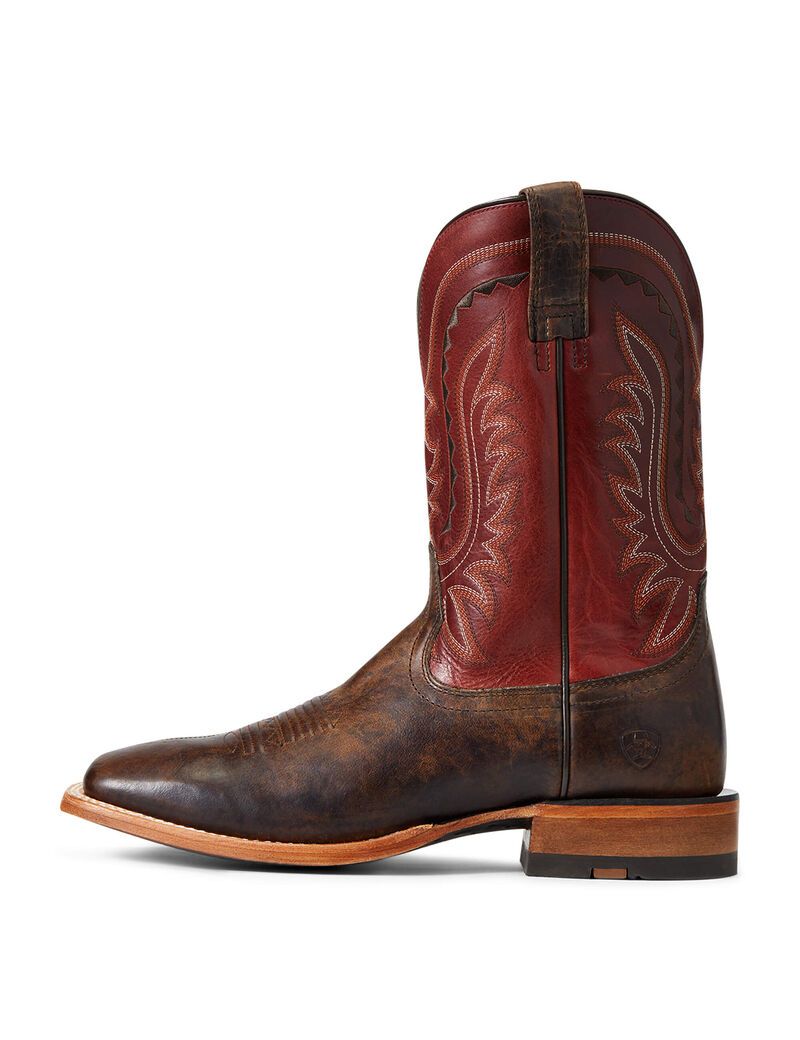 Bottes Western Ariat Parada Multicolore Homme | XGY-60928354