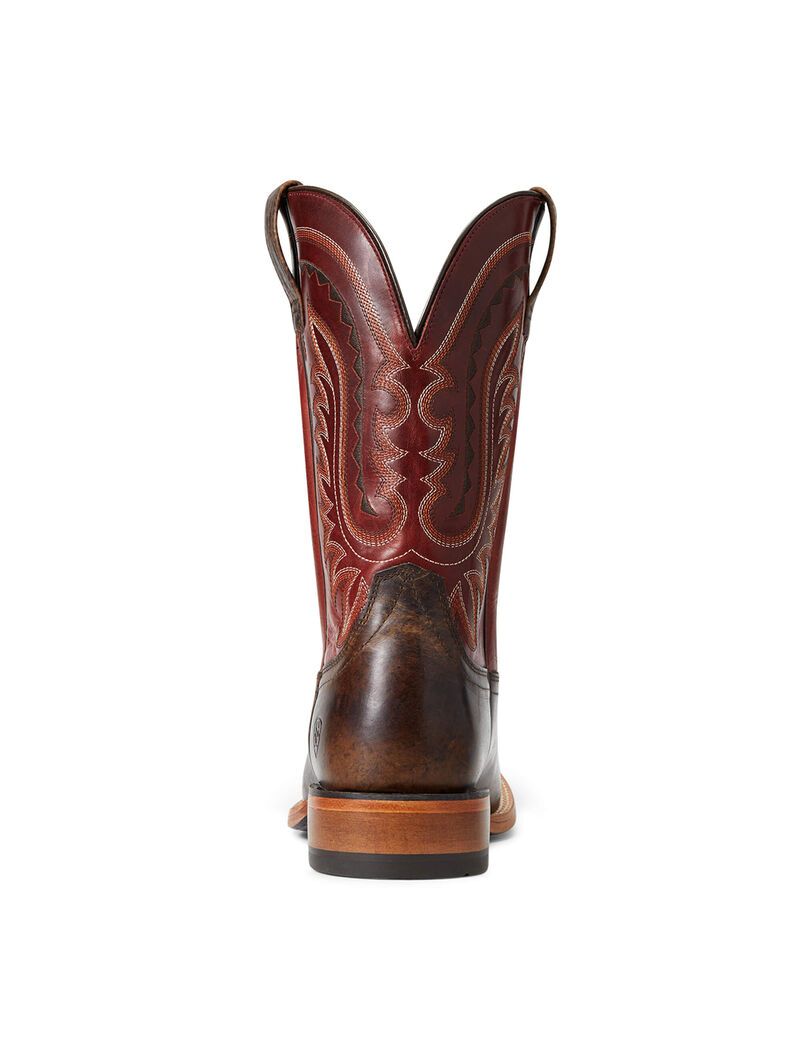 Bottes Western Ariat Parada Multicolore Homme | XGY-60928354