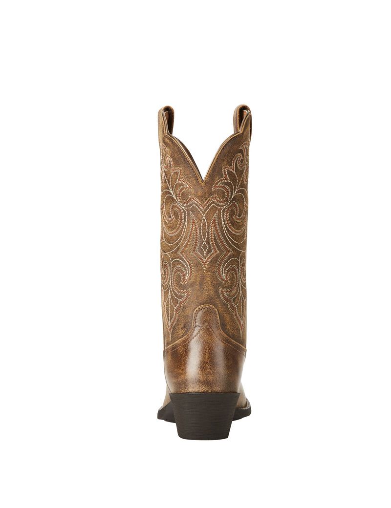 Bottes Western Ariat Round Up Square Embout Multicolore Femme | ZEN-65765532