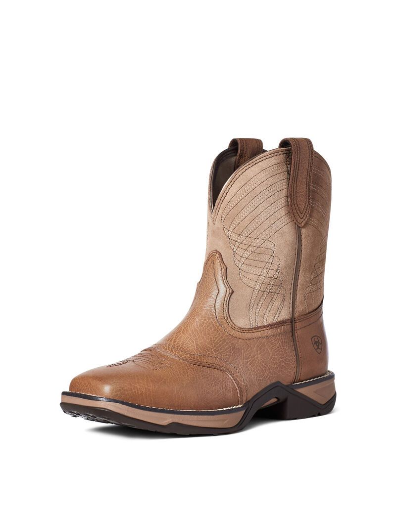 Bottes Western Ariat Anthem Shortie Multicolore Femme | VTW-08275299