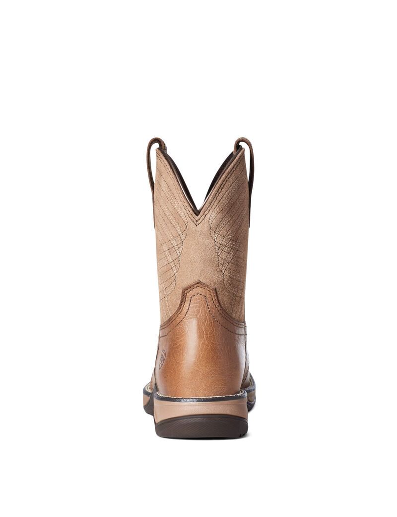 Bottes Western Ariat Anthem Shortie Multicolore Femme | VTW-08275299