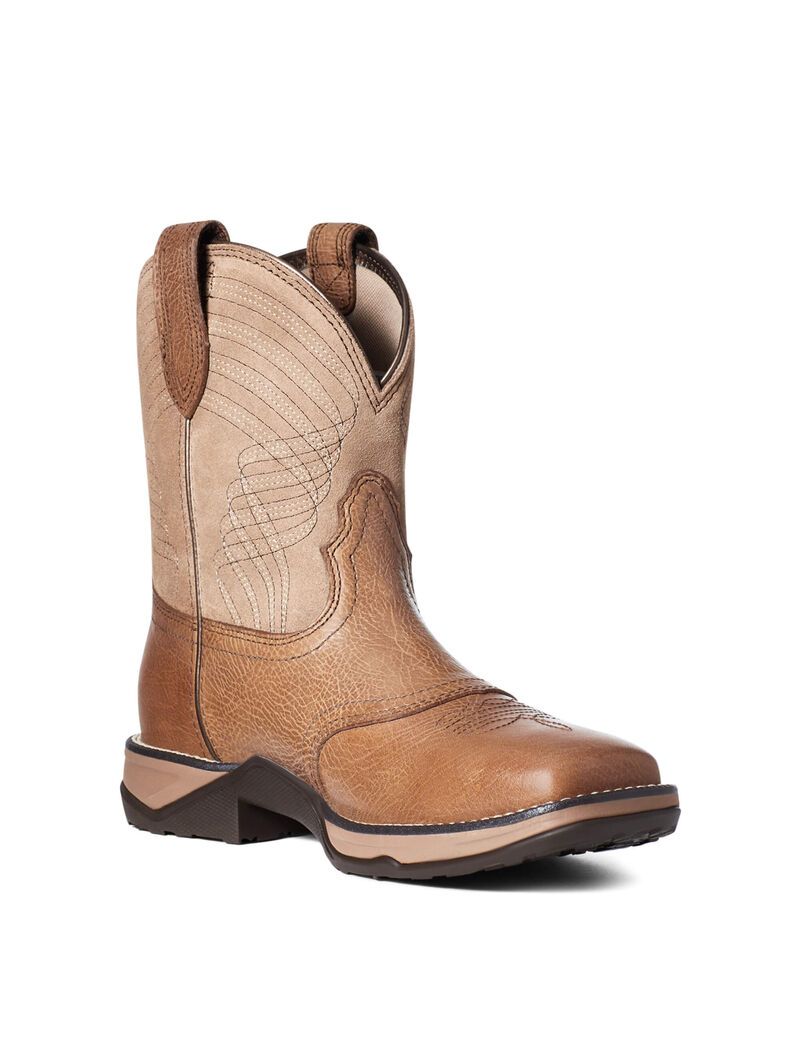 Bottes Western Ariat Anthem Shortie Multicolore Femme | VTW-08275299