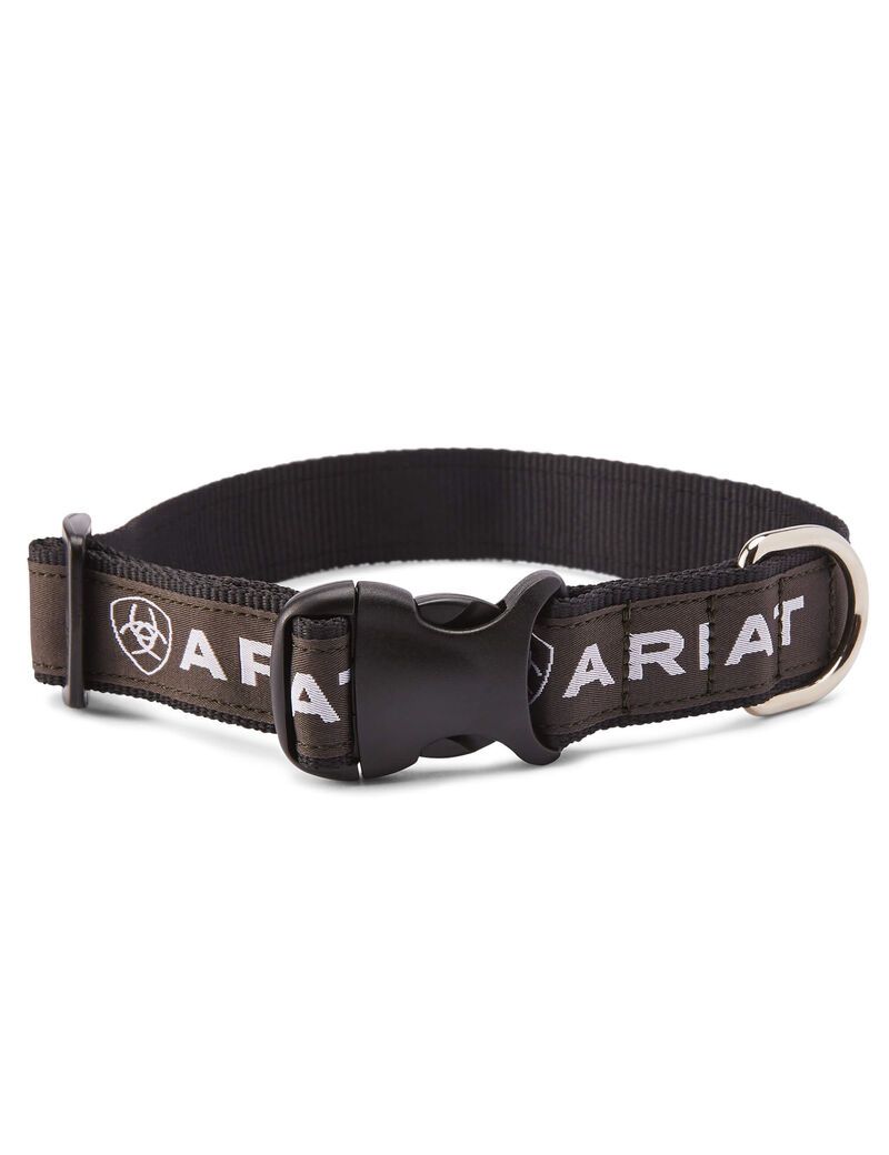 Pet Accessories Ariat Dog Collar Noir Grise Homme | YQO-75931316