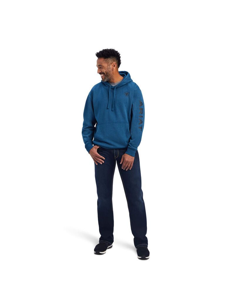 Sweat à Capuche Ariat Logo Bleu Marine Homme | JEO-52544742