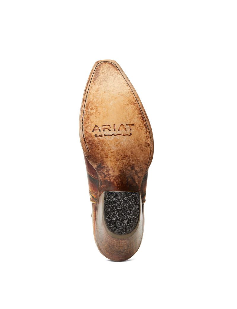 Bottines Ariat Dixon Western Multicolore Femme | GXV-55047946