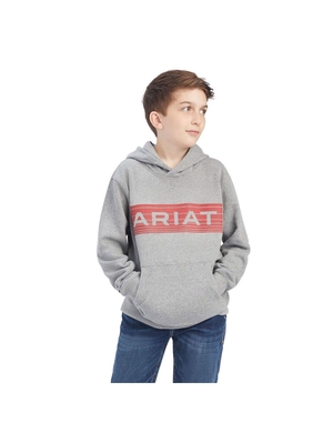 Sweat à Capuche Ariat Basic Sweatshirt Orange Enfant | CYU-27709439