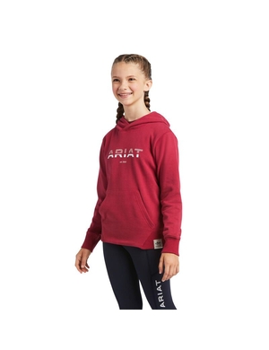 Sweat à Capuche Ariat 3D Logo 2.0 Rouge Enfant | IZY-36349599