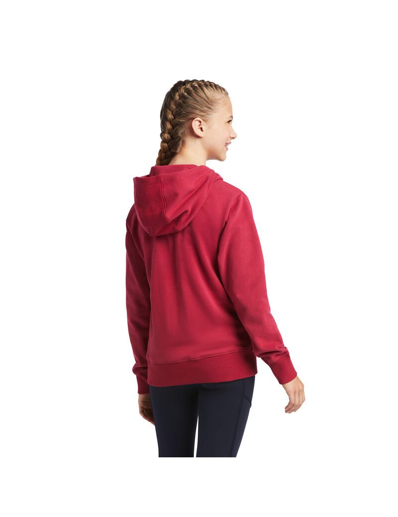 Sweat à Capuche Ariat 3D Logo 2.0 Rouge Enfant | IZY-36349599