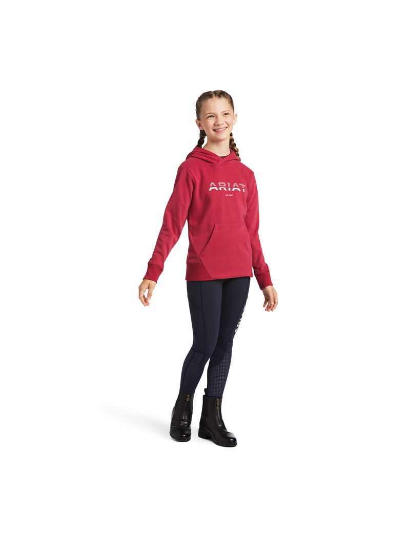 Sweat à Capuche Ariat 3D Logo 2.0 Rouge Enfant | IZY-36349599