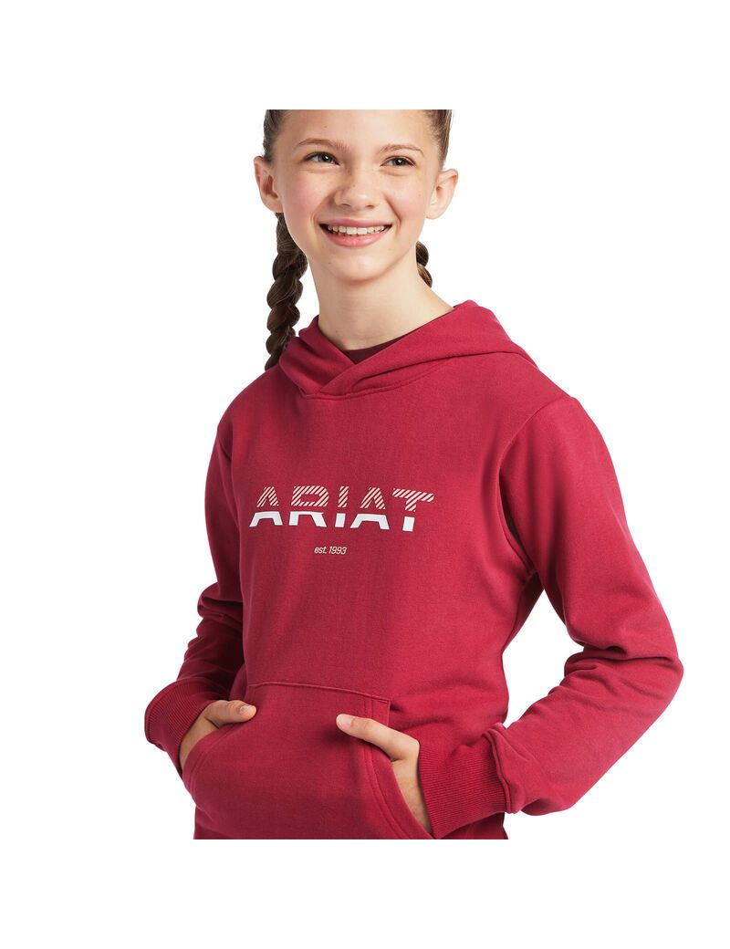 Sweat à Capuche Ariat 3D Logo 2.0 Rouge Enfant | IZY-36349599