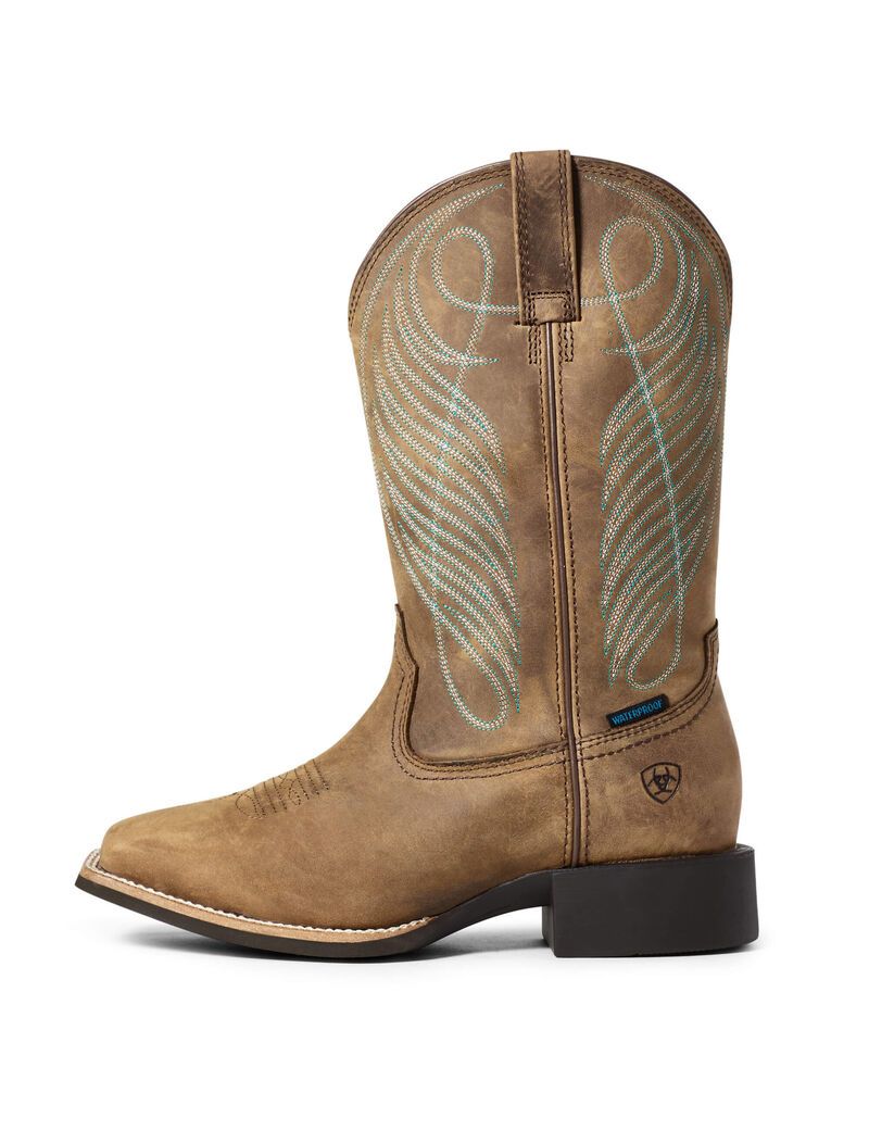 Bottes Imperméables Ariat Round Up Larges Square Embout Western Marron Femme | BZL-87898871