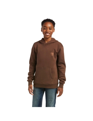 Sweats Ariat Patriot 2.0 Marron Marron Enfant | BXP-61844053