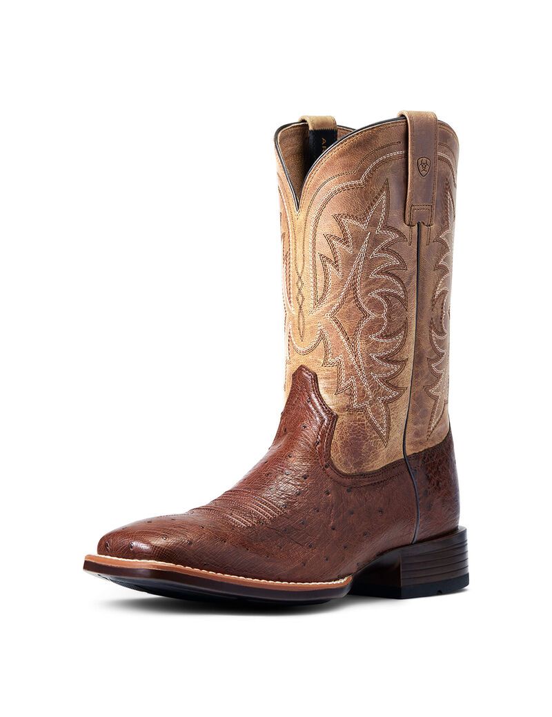 Bottes Western Ariat Night Life Ultra Multicolore Homme | FZG-97384502