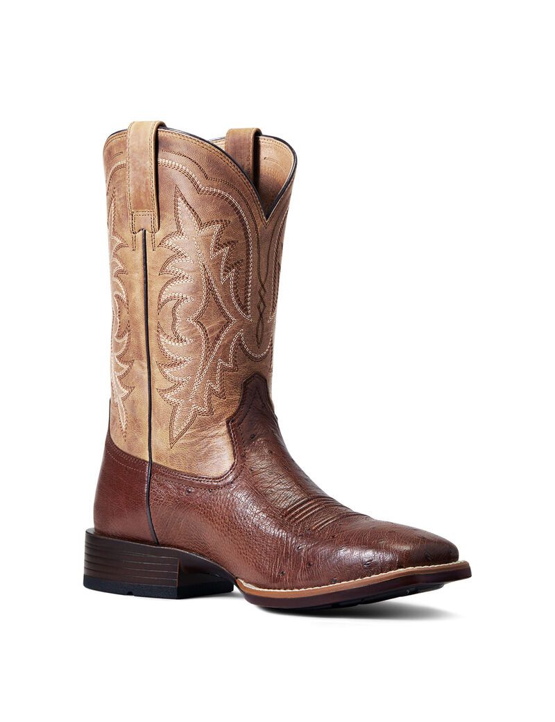 Bottes Western Ariat Night Life Ultra Multicolore Homme | FZG-97384502