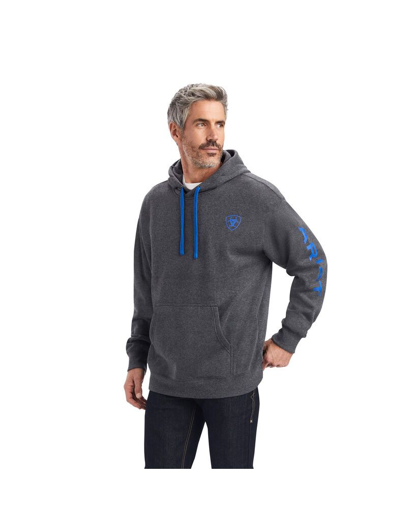 Sweat à Capuche Ariat Logo Grise Homme | LJG-10095681