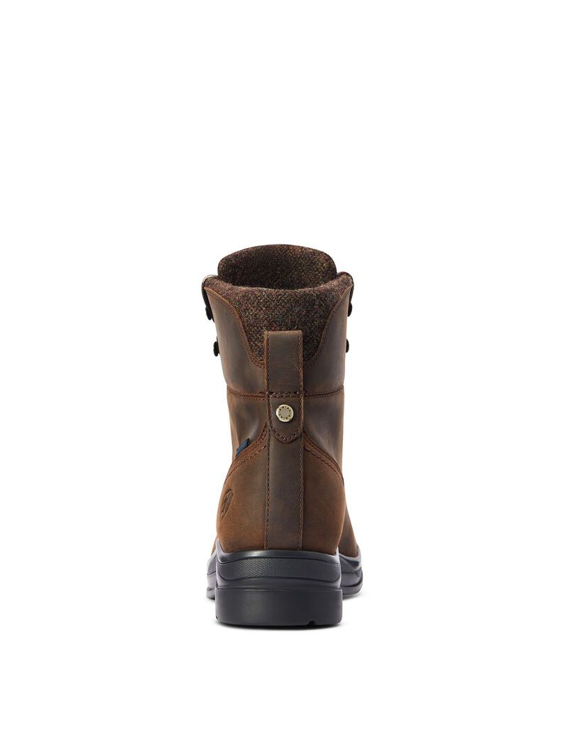 Bottes Imperméables Ariat Harper Imperméables Chocolat Femme | XRG-96541069