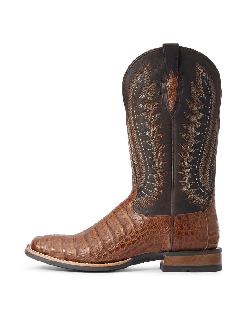 Bottes Western Ariat Double Down Multicolore Homme | DME-83856467