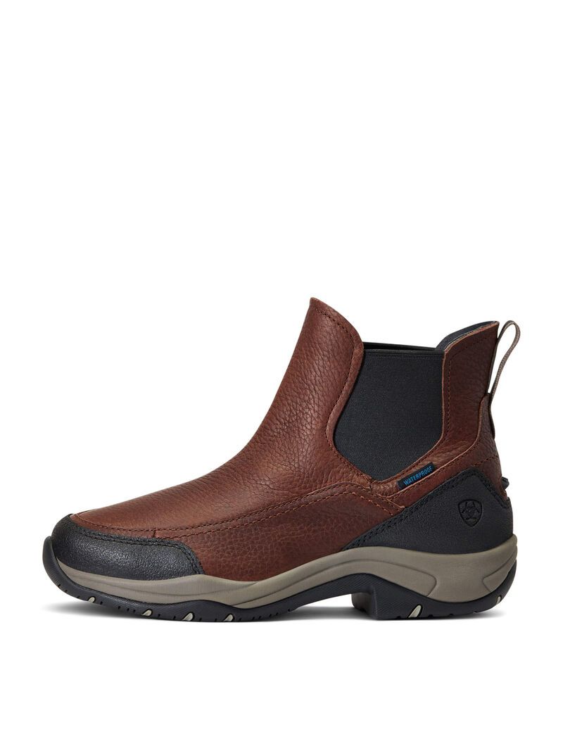 Bottes D'équitation Ariat Terrain Blaze Imperméables Marron Foncé Femme | WGW-66725244