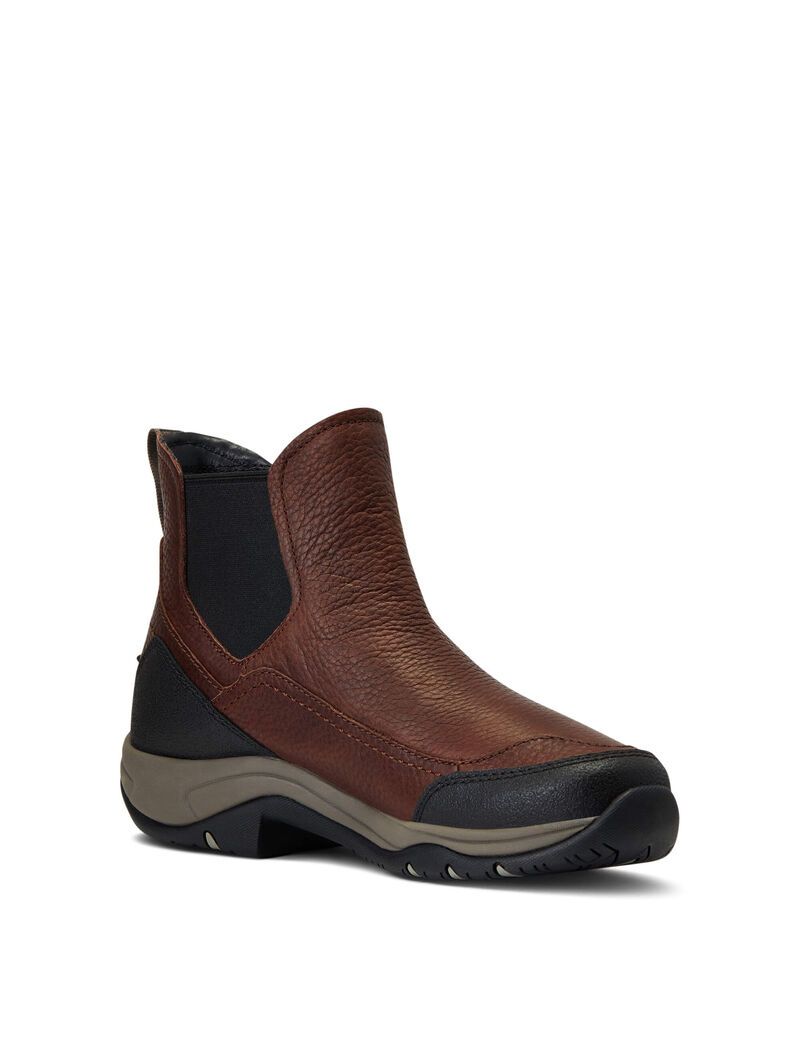 Bottes D'équitation Ariat Terrain Blaze Imperméables Marron Foncé Femme | WGW-66725244