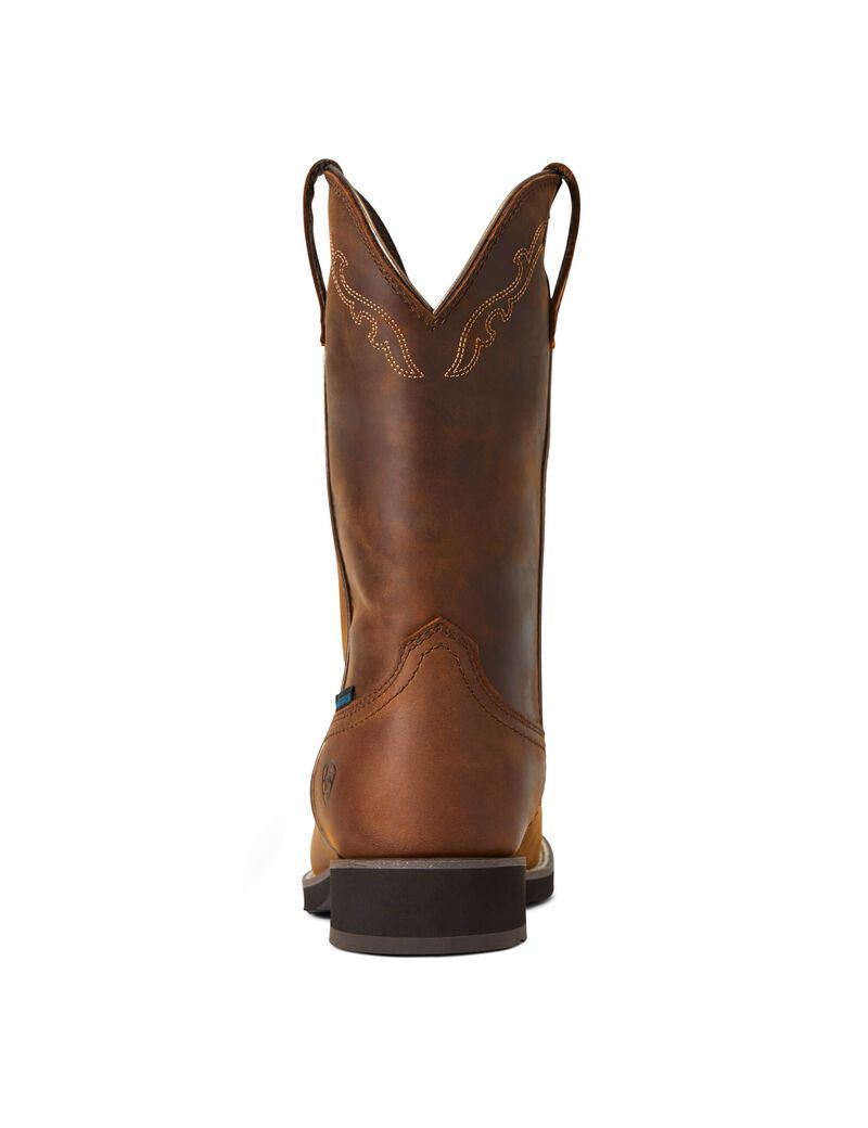 Bottes Western Ariat Delilah Round Embout Imperméables Marron Femme | RMP-31518048