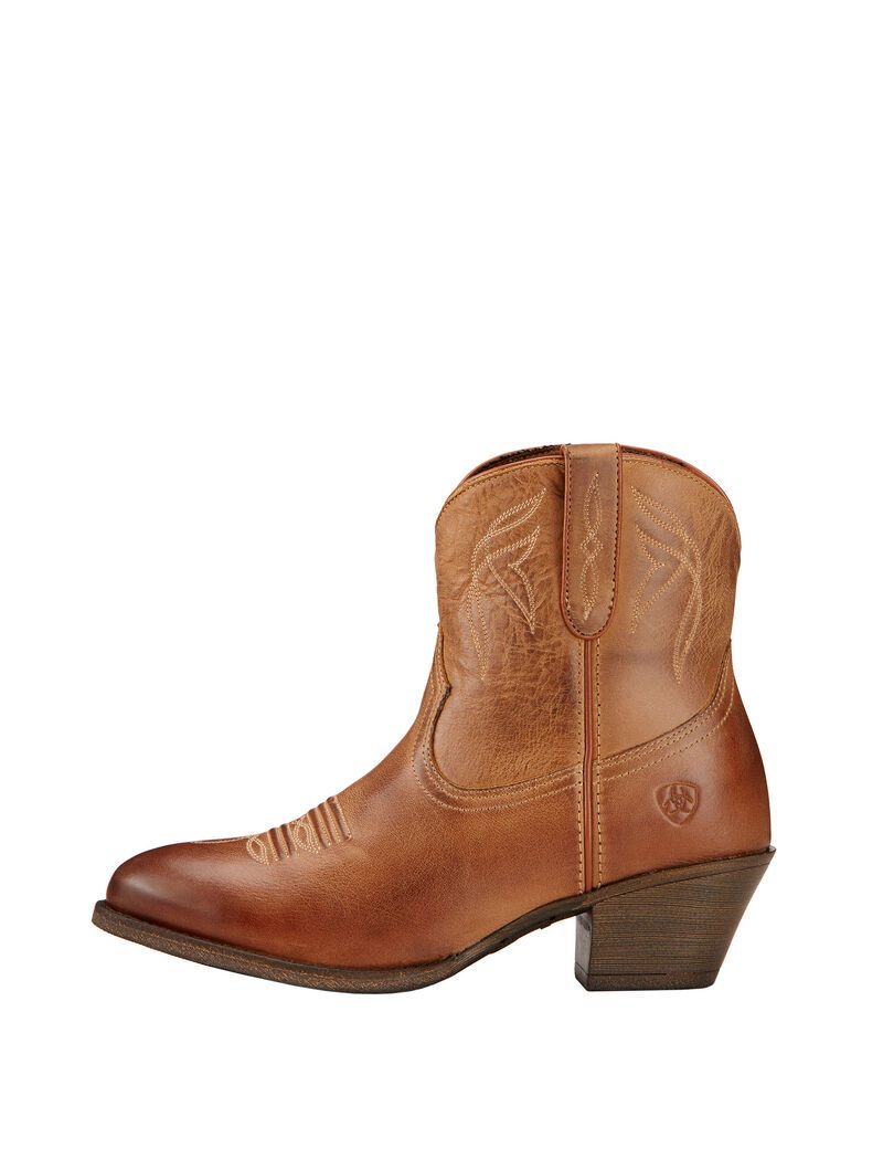 Bottines Ariat Darlin Western Multicolore Femme | GYS-38493935