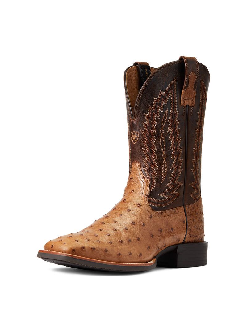 Bottes Western Ariat Quantum Primo Multicolore Homme | ODN-51926326