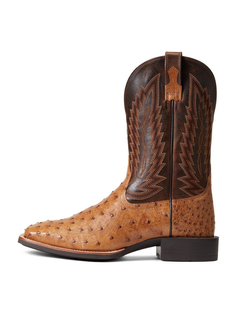 Bottes Western Ariat Quantum Primo Multicolore Homme | ODN-51926326