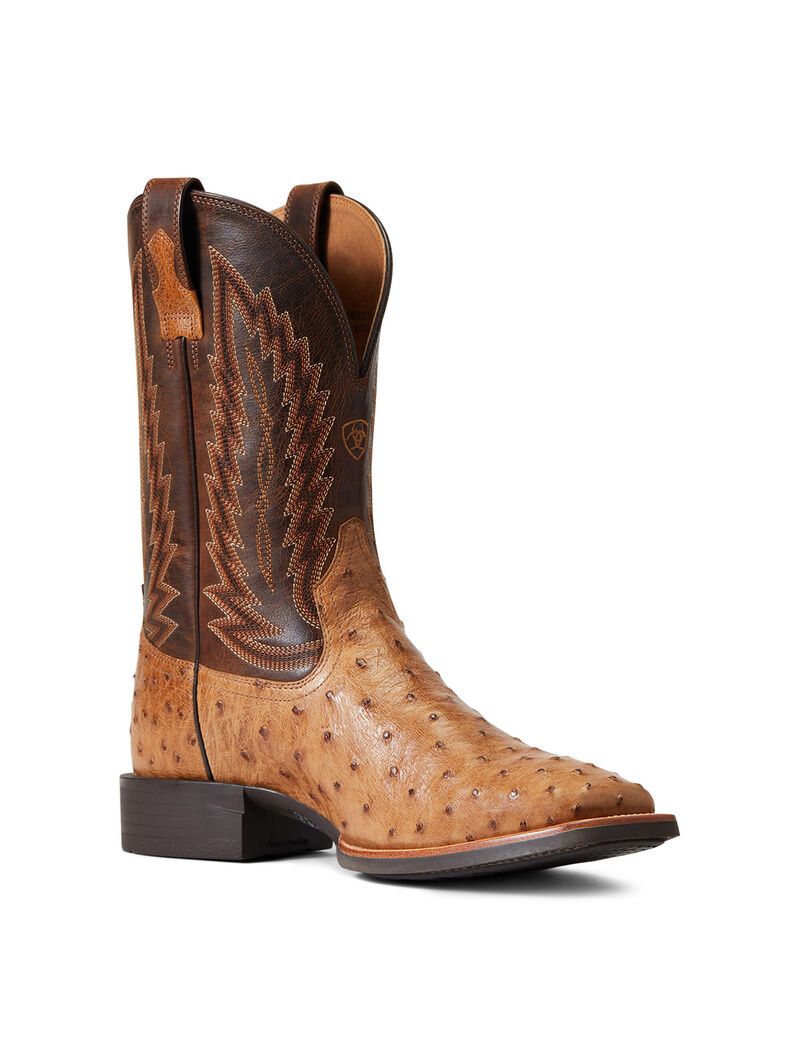 Bottes Western Ariat Quantum Primo Multicolore Homme | ODN-51926326