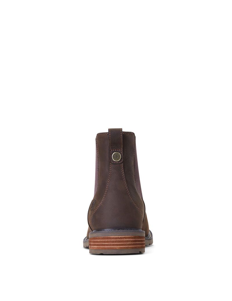 Bottes Imperméables Ariat Wexford Imperméables Multicolore Homme | UUU-21533313