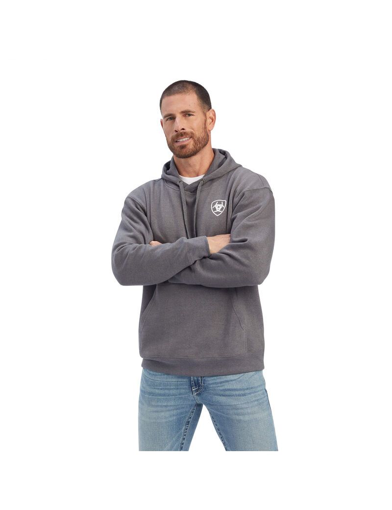 Sweats Ariat Southwest Shield Grise Homme | KVG-88349266