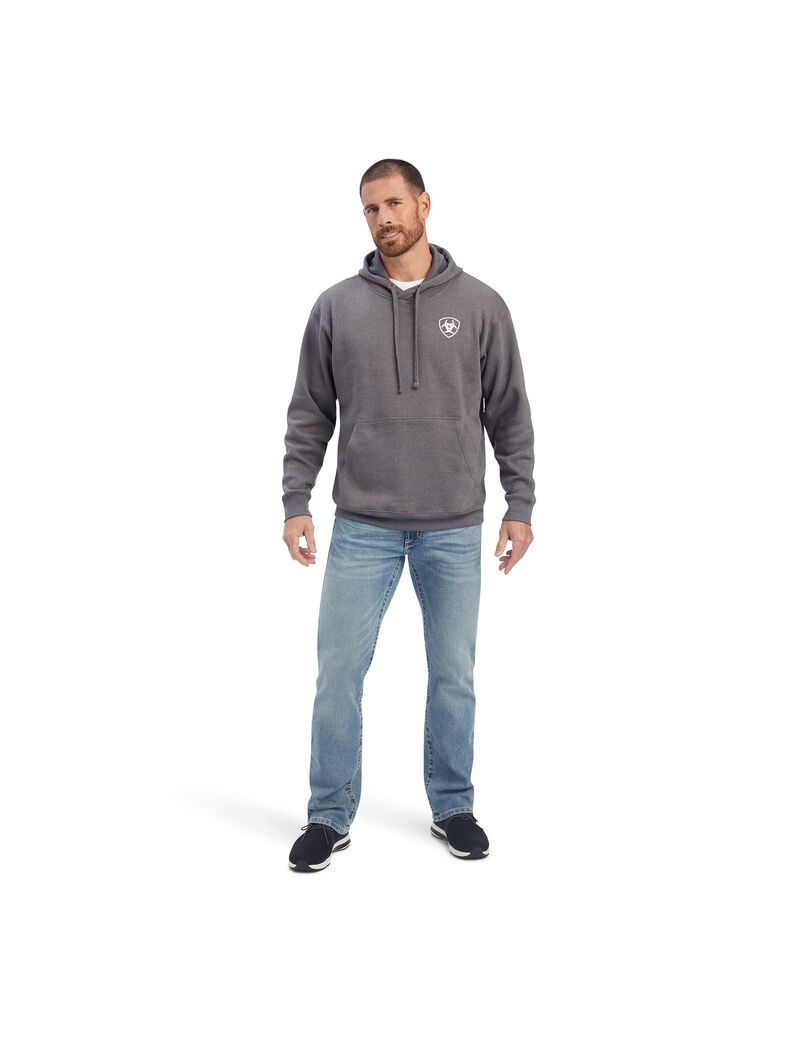 Sweats Ariat Southwest Shield Grise Homme | KVG-88349266