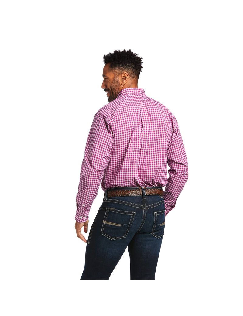 Chemises De Costume Ariat Pro Series Alexander Classiche Fit Rose Clair Homme | XGK-26455108