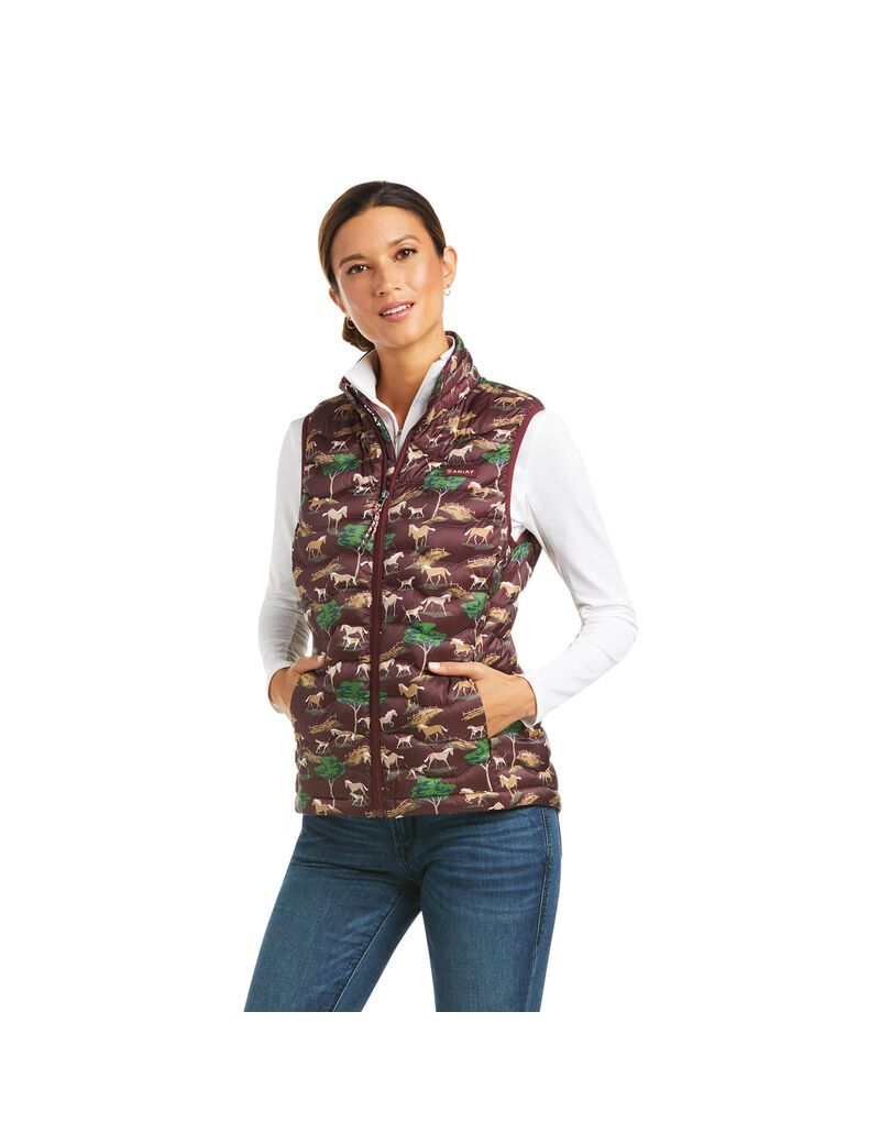 Gilet Ariat Ideal 3.0 Down Multicolore Femme | ZUJ-96953848