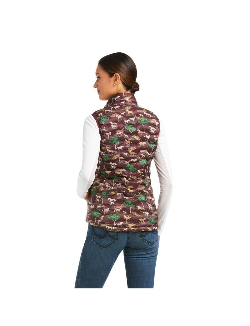 Gilet Ariat Ideal 3.0 Down Multicolore Femme | ZUJ-96953848