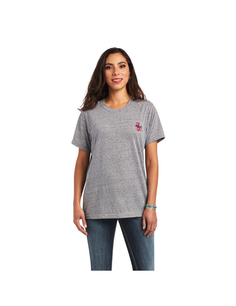 Hauts Ariat Singing the Blues Tee Grise Femme | YQV-97203547