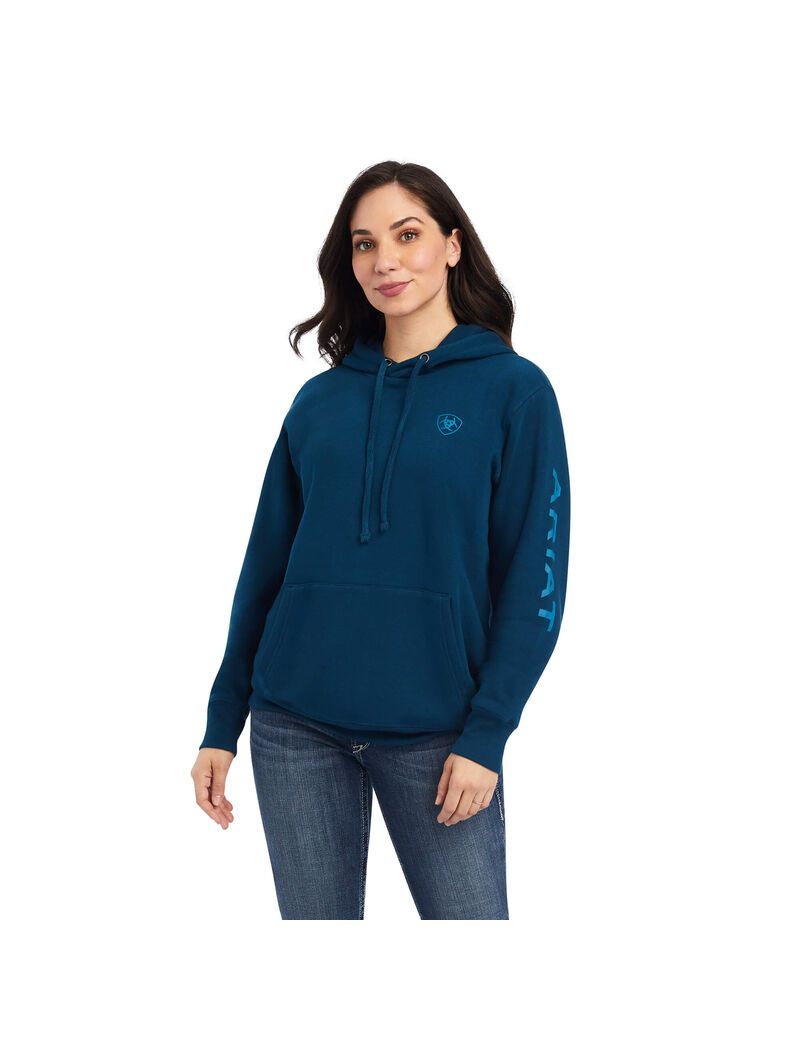 Sweat à Capuche Ariat REAL Classiche Arm Logo Multicolore Femme | NCS-92237824