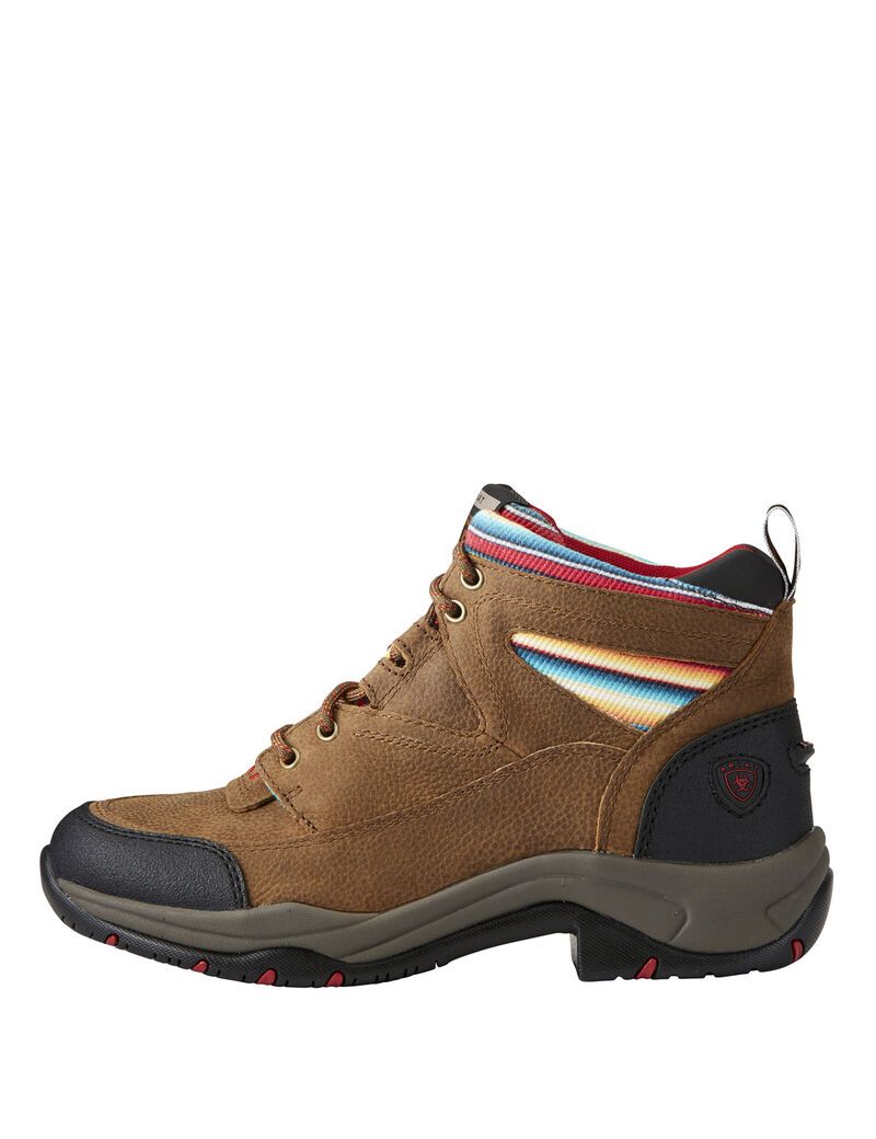 Bottes Randonnée Ariat Terrain Multicolore Femme | YMJ-06726441