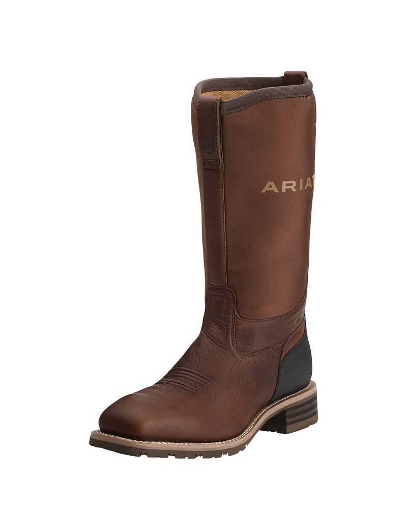 Bottes Imperméables Ariat Hybride All Weather Steel Embout Travail Marron Homme | MOV-18214782