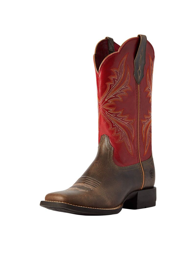 Bottes Western Ariat West Bound Multicolore Femme | XSN-53697936