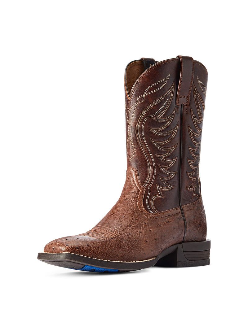 Bottes Western Ariat Reckoning Multicolore Homme | JGI-07204204