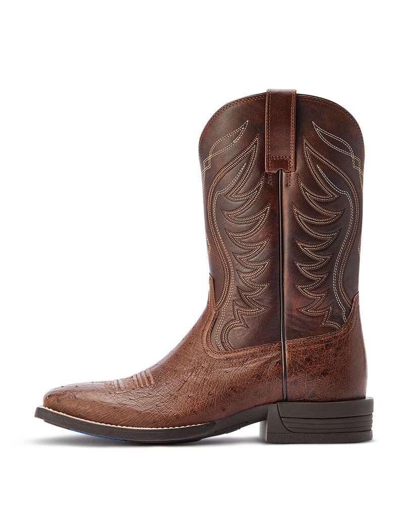 Bottes Western Ariat Reckoning Multicolore Homme | JGI-07204204