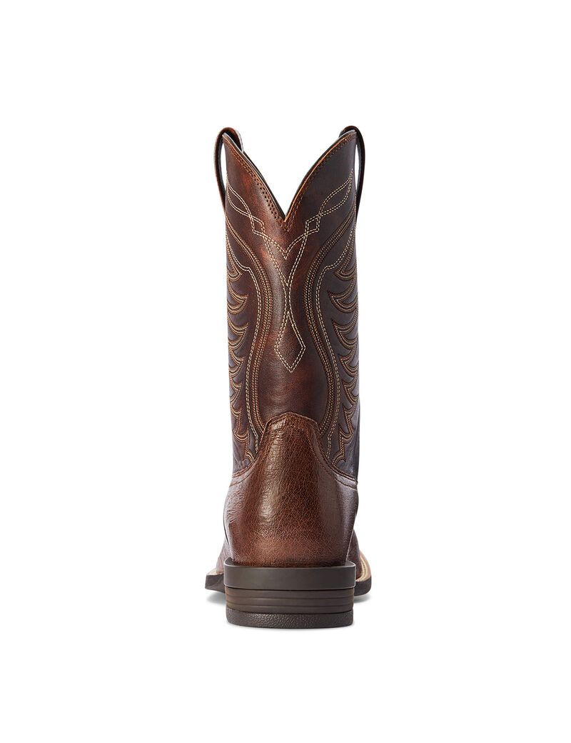 Bottes Western Ariat Reckoning Multicolore Homme | JGI-07204204