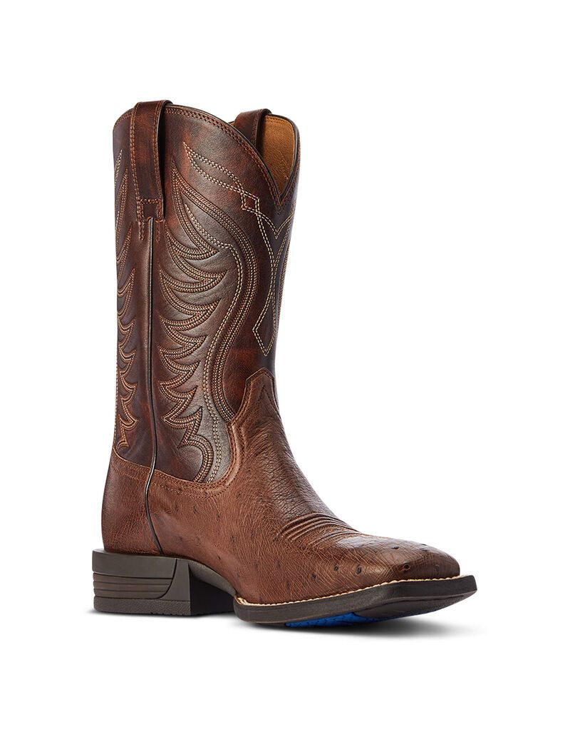 Bottes Western Ariat Reckoning Multicolore Homme | JGI-07204204