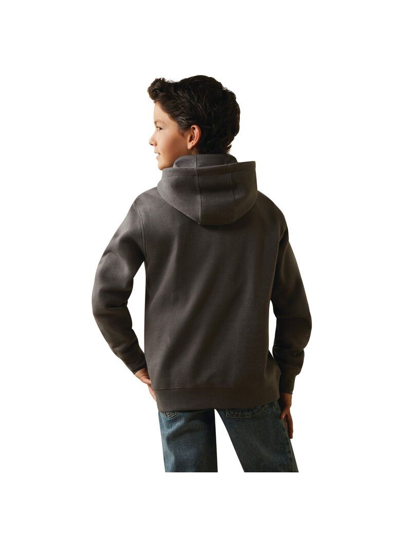 Sweat à Capuche Ariat Horns Southwest Grise Enfant | XBN-88480180