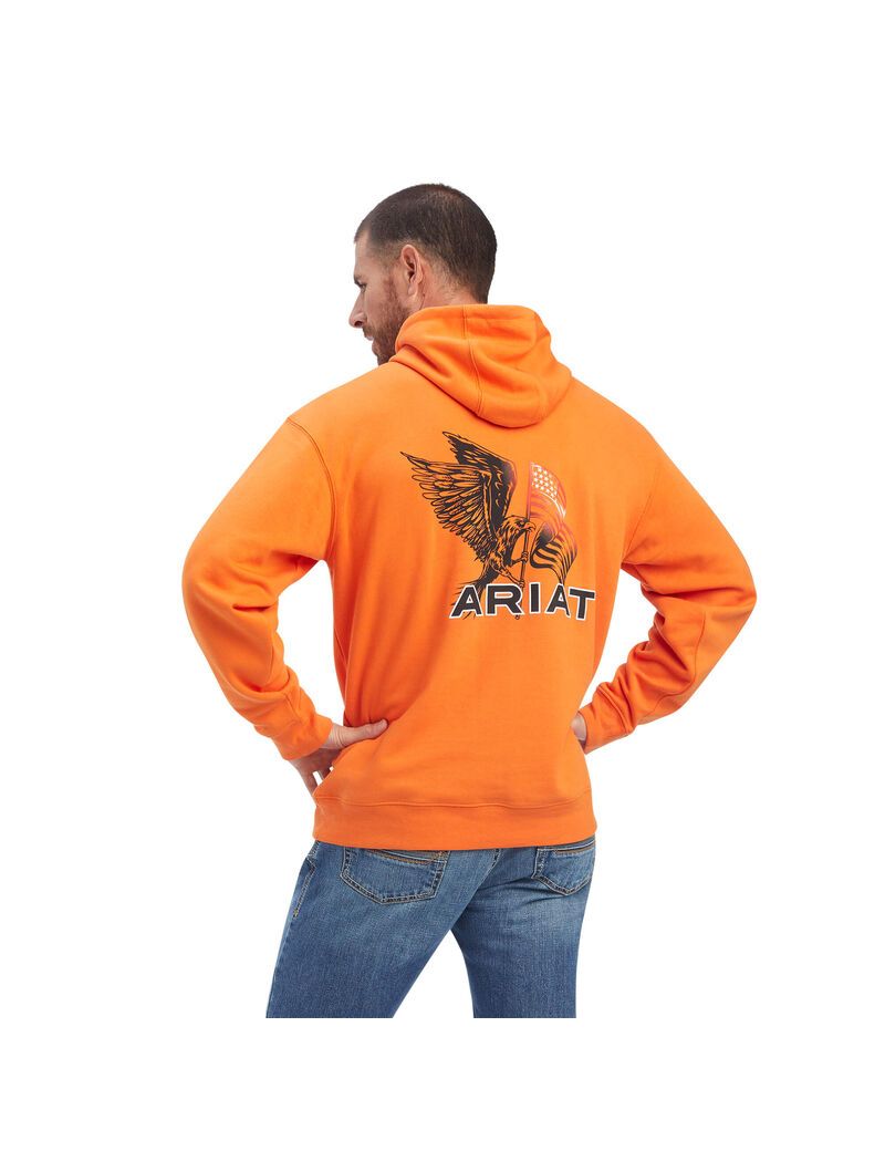 Sweats Ariat Free Bird Multicolore Homme | PNA-48439913