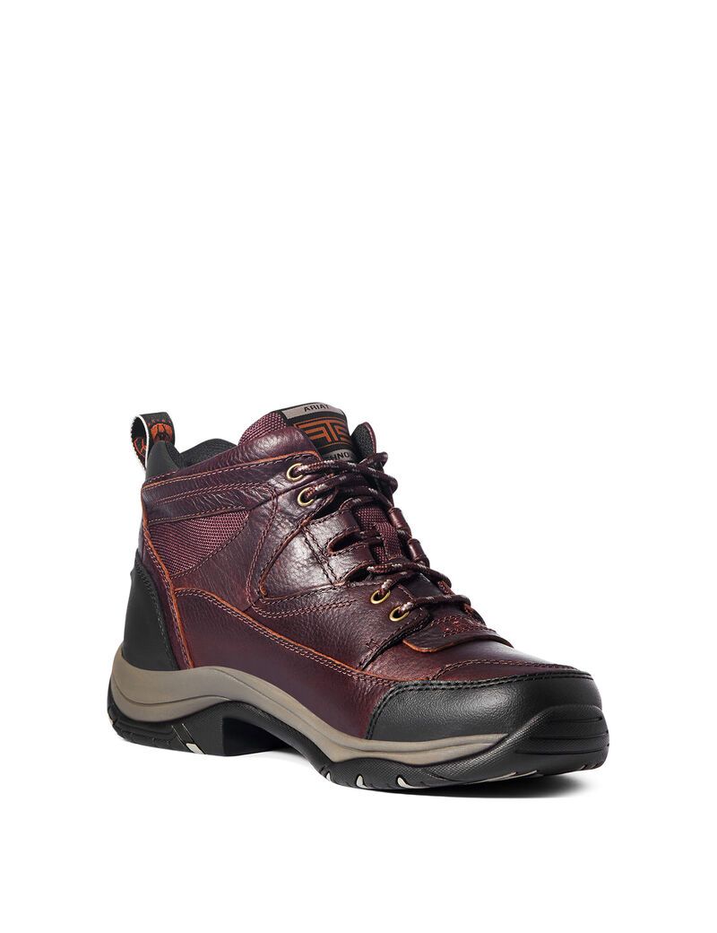 Bottes Randonnée Ariat Terrain Marron Foncé Homme | PEE-40551548