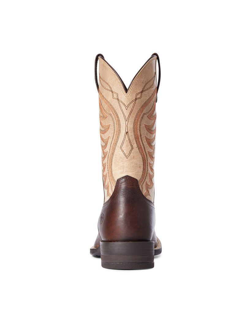 Bottes Western Ariat Amos Marron Homme | IDB-35944035