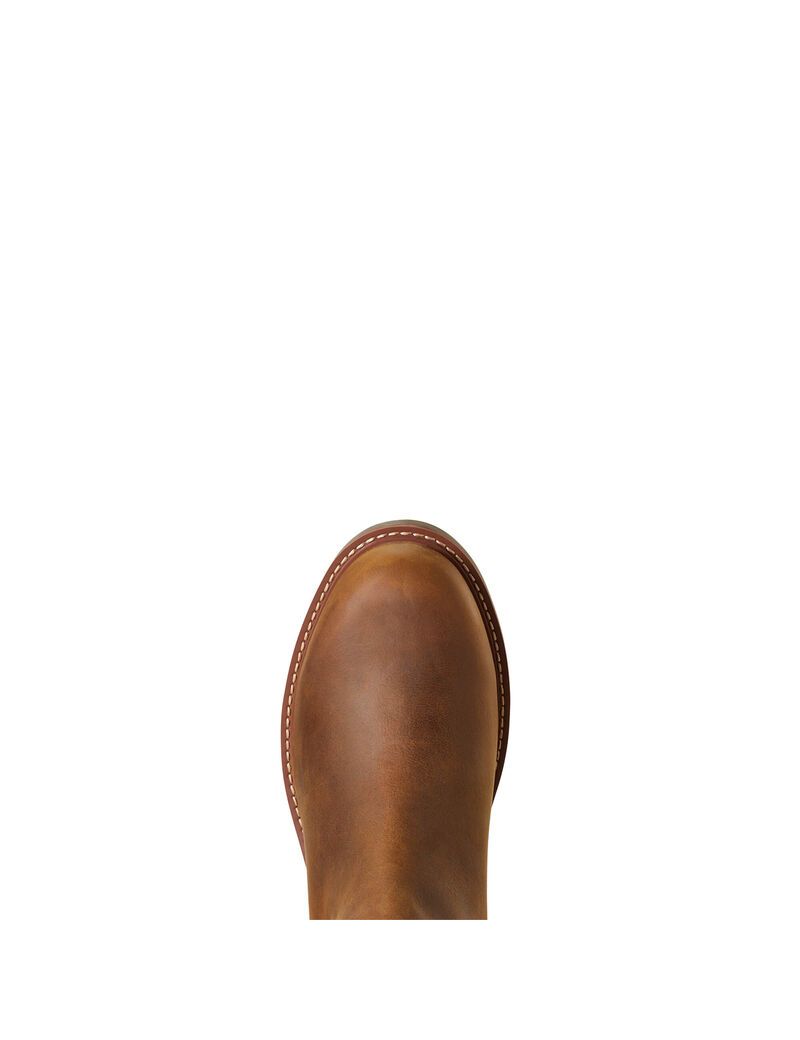 Bottes Imperméables Ariat Wexford Imperméables Marron Homme | JAH-97937584