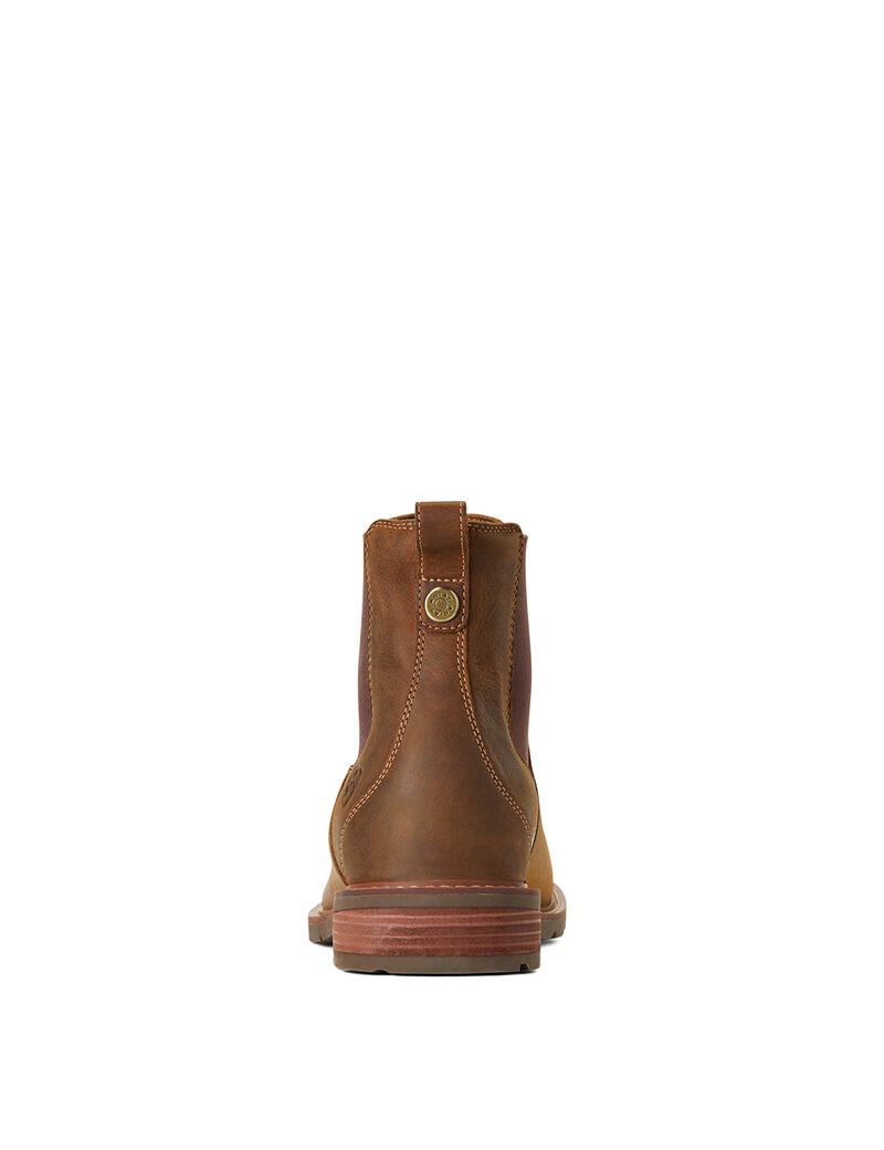 Bottes Imperméables Ariat Wexford Imperméables Marron Homme | JAH-97937584