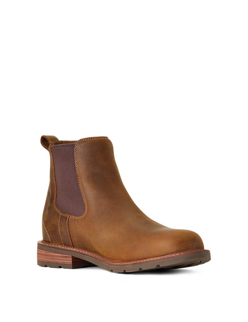 Bottes Imperméables Ariat Wexford Imperméables Marron Homme | JAH-97937584